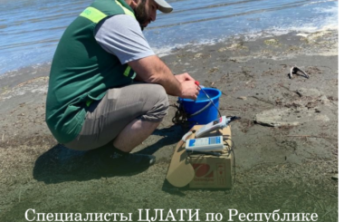 Специалисты ЦЛАТИ по Республике Дагестан отобрали пробы для исследований на месте гибели краснокнижных тюленей.